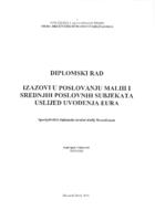 prikaz prve stranice dokumenta Izazovi u poslovanju malih i srednjih poslovnih subjekata uslijed uvođenja eura